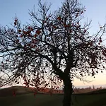 Biancospino - Luxury&private In Langhe Monforte dʼAlba
