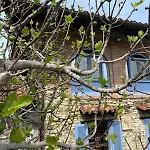 Biancospino - Luxury&private In Langhe * Monforte dʼAlba
