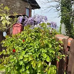 Biancospino - Luxury&private In Langhe