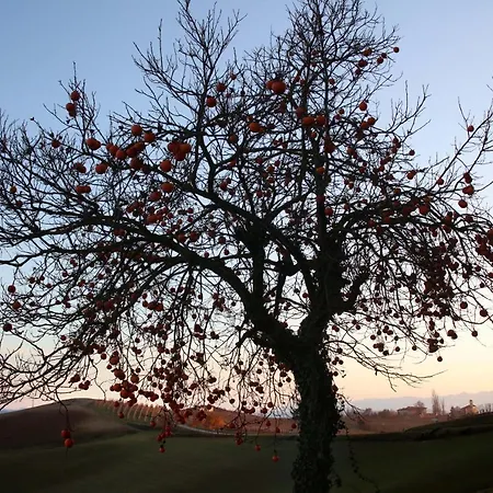Biancospino - Luxury And Private In Langhe 蒙福特达尔巴