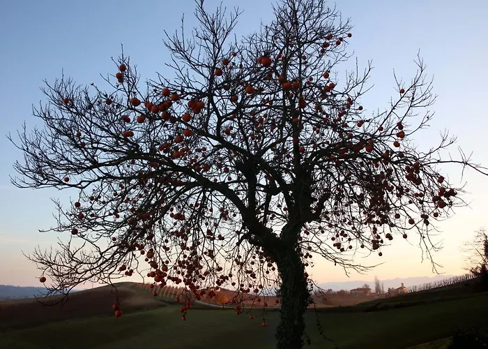 Biancospino - Luxury And Private In Langhe Monforte dʼAlba