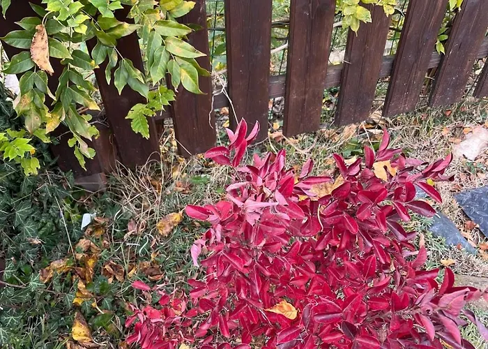 Biancospino - Luxury And Private In Langhe * Monforte dʼAlba